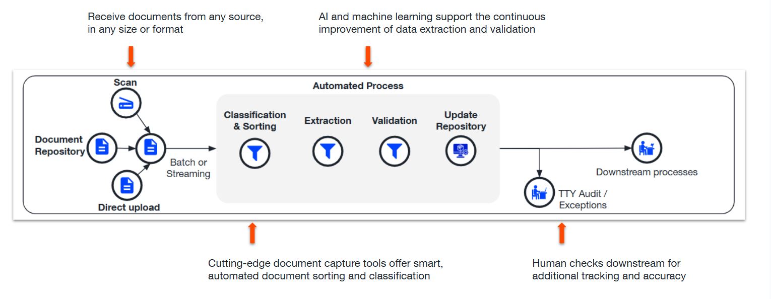 IDP process